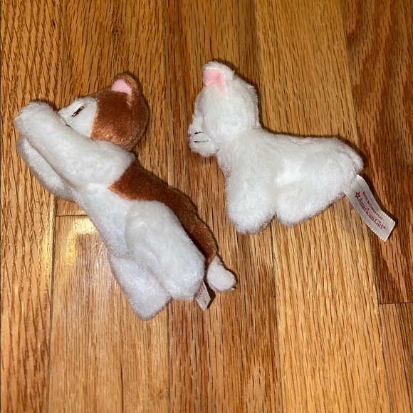 Rebecca’s Kittens Retired - Picture 2 of 2